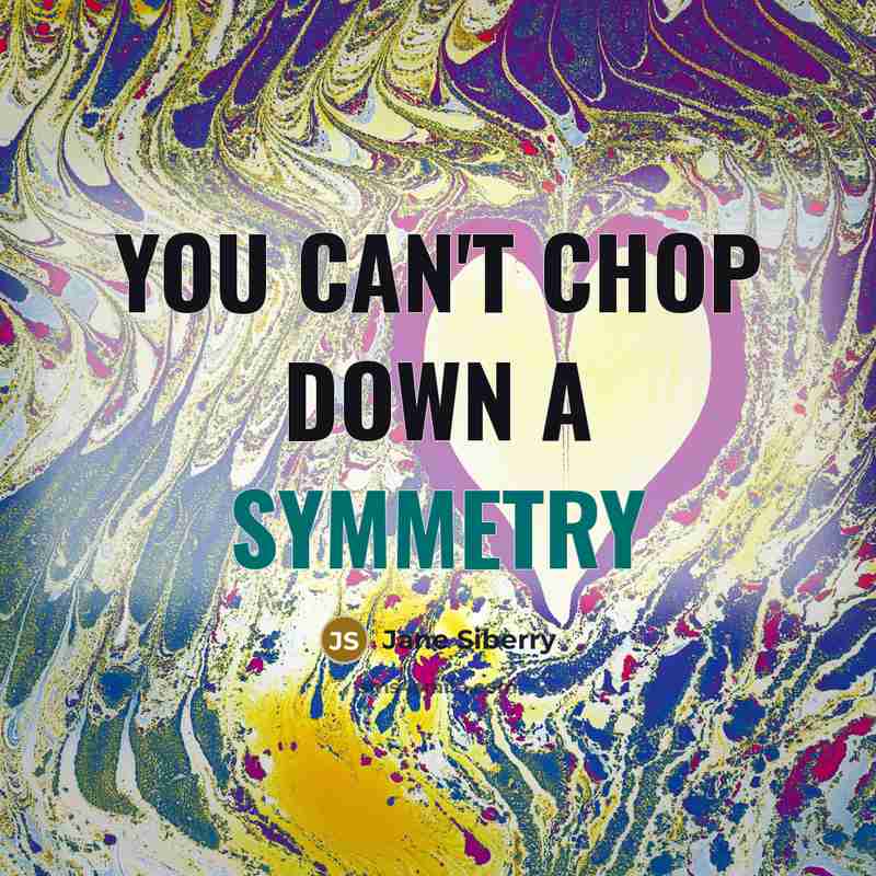 “You can't chop down a symmetry…” quote by Jane Siberry
