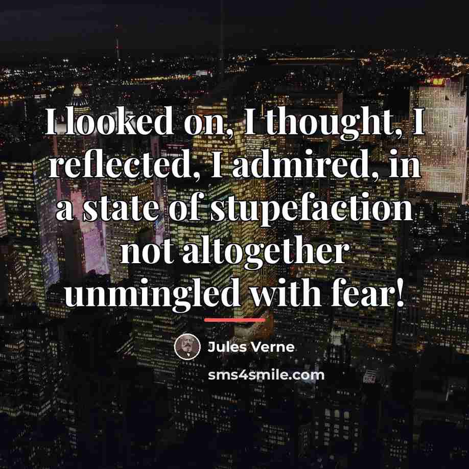 “I looked on, I thought, I reflected, I admired, in…” quote by Jules Verne