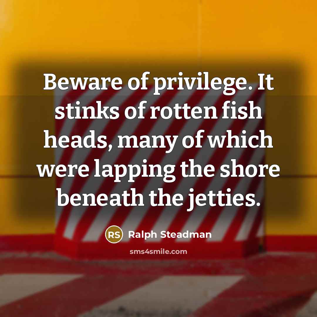 “Beware of privilege. It stinks of rotten fish heads, many…” quote by Ralph Steadman