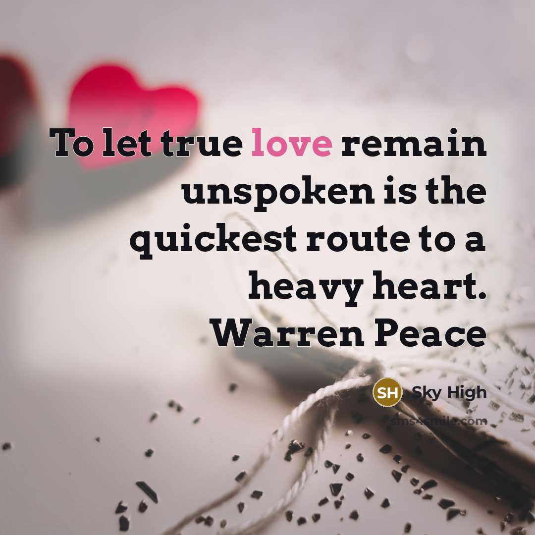 “To let true love remain unspoken is the quickest route…” quote by Sky High