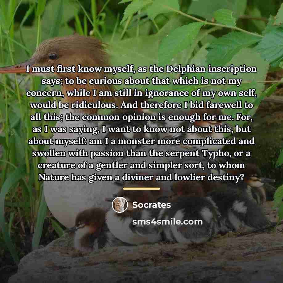 “I must first know myself, as the Delphian inscription says;…” quote by Socrates