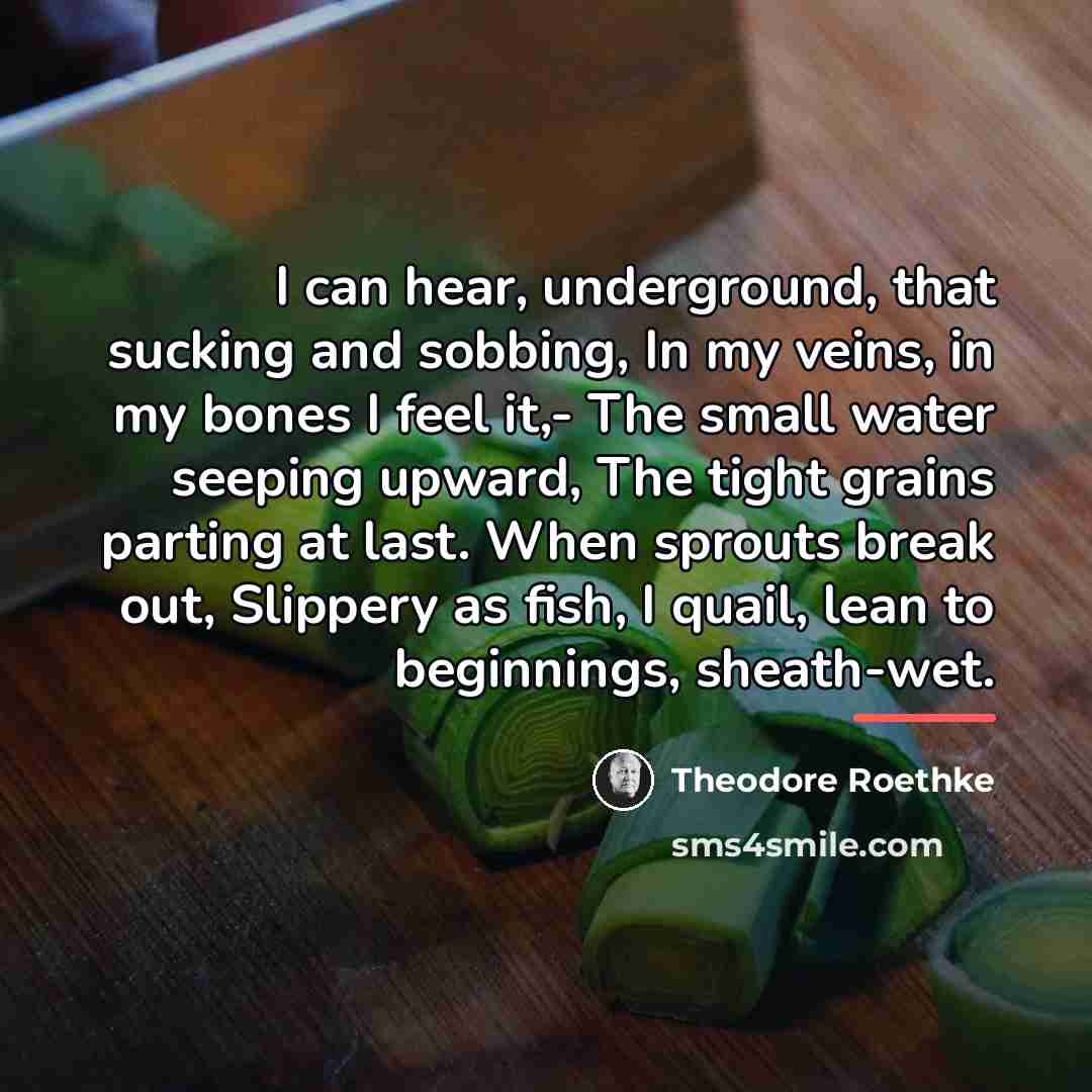 “I can hear, underground, that sucking and sobbing, In my…” quote by Theodore Roethke