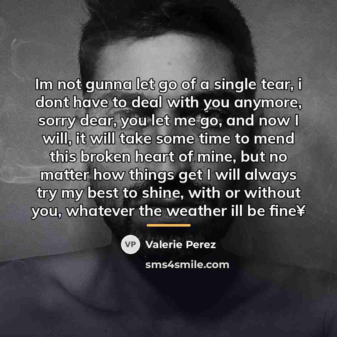 “Im not gunna let go of a single tear, i…” quote by Valerie Perez