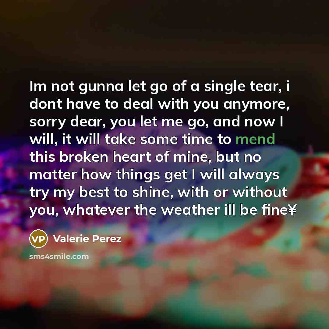 “Im not gunna let go of a single tear, i dont have to deal with you anymore, sorry dear, you let me go, and now I will, it will take some time to mend this broken heart of mine, but no matter how things get I will always try my best to shine, with or without you, whatever the weather ill be fine¥” quote by Valerie Perez