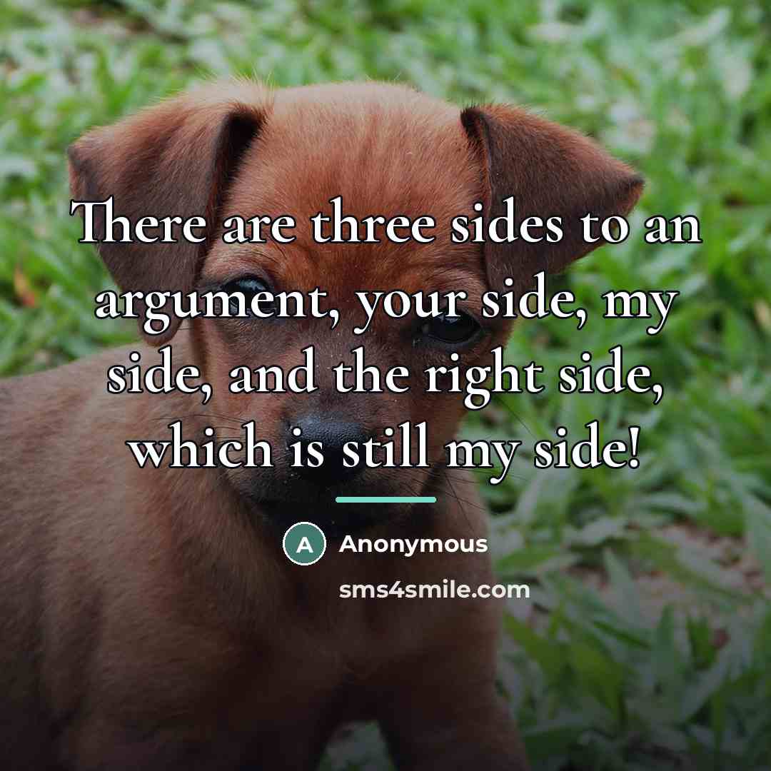“There are three sides to an argument, your side, my…” quote by Anonymous