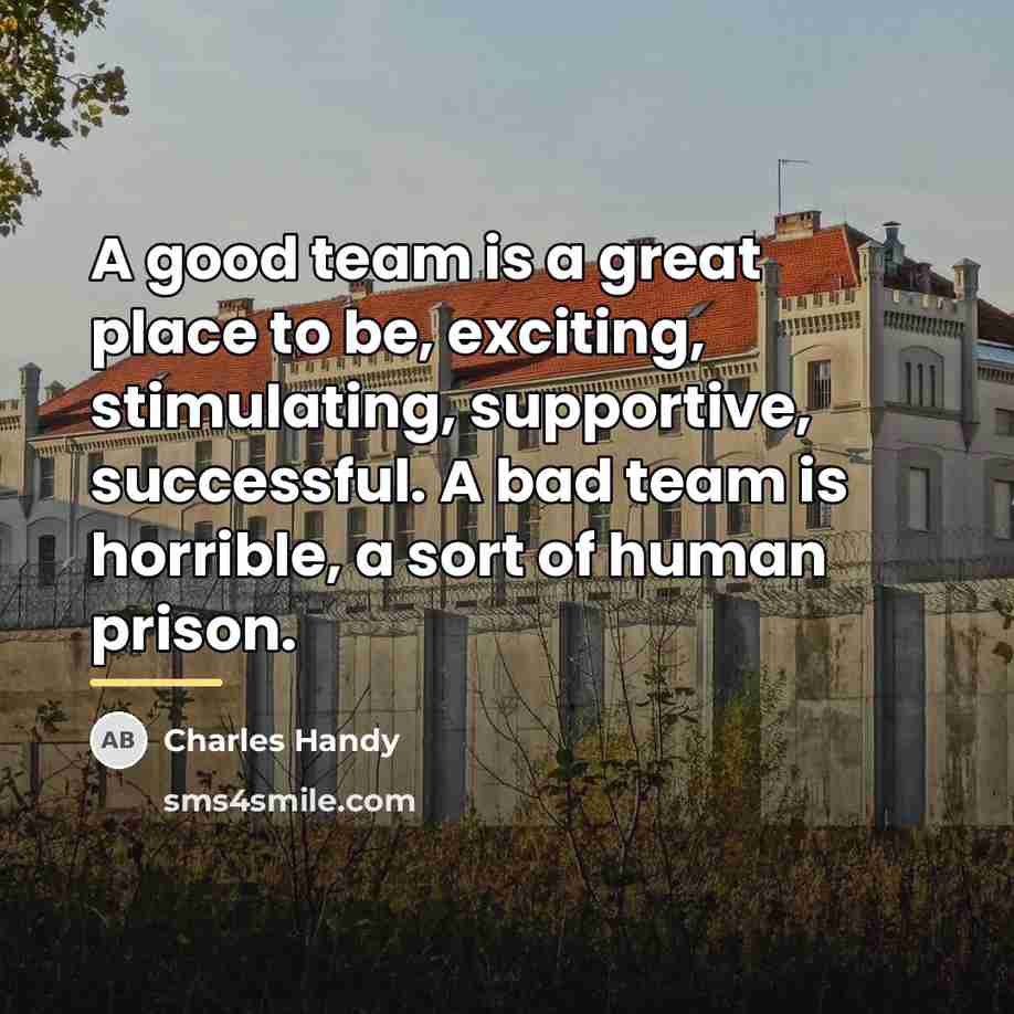 “A good team is a great place to be, exciting,…” quote by Charles Handy
