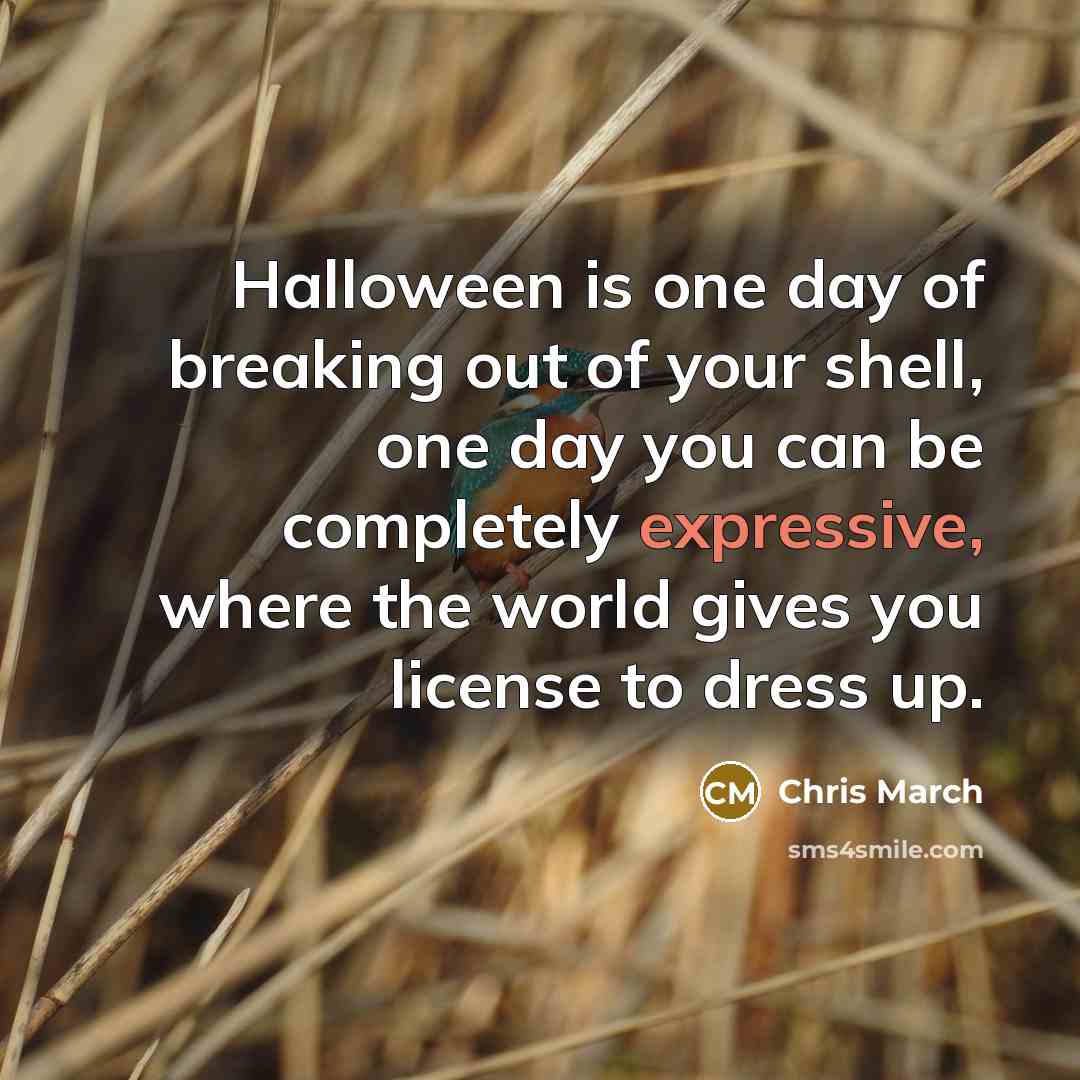 “Halloween is one day of breaking out of your shell,…” quote by Chris March