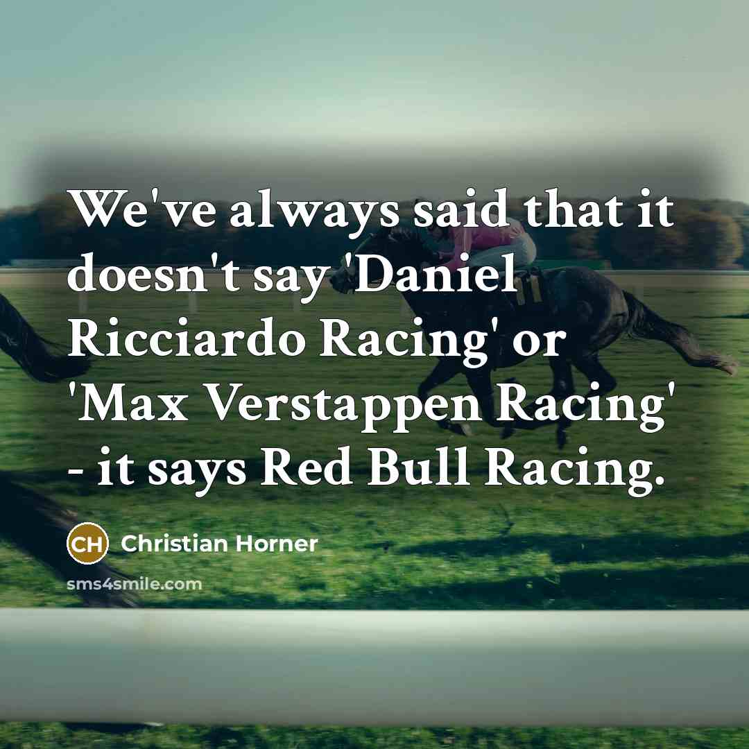“We've always said that it doesn't say 'Daniel Ricciardo Racing'…” quote by Christian Horner