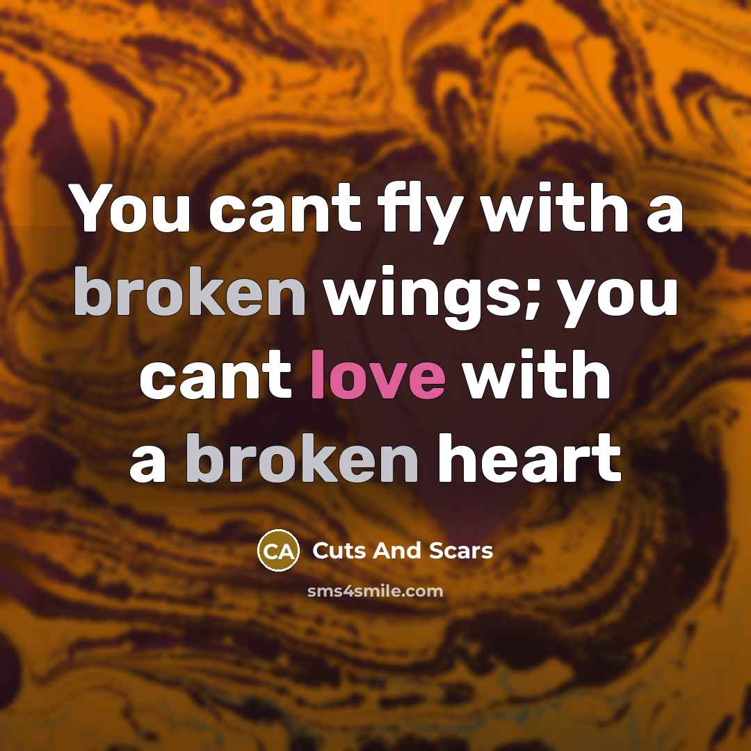 “You cant fly with a broken wings; you cant love…” quote by Cuts And Scars