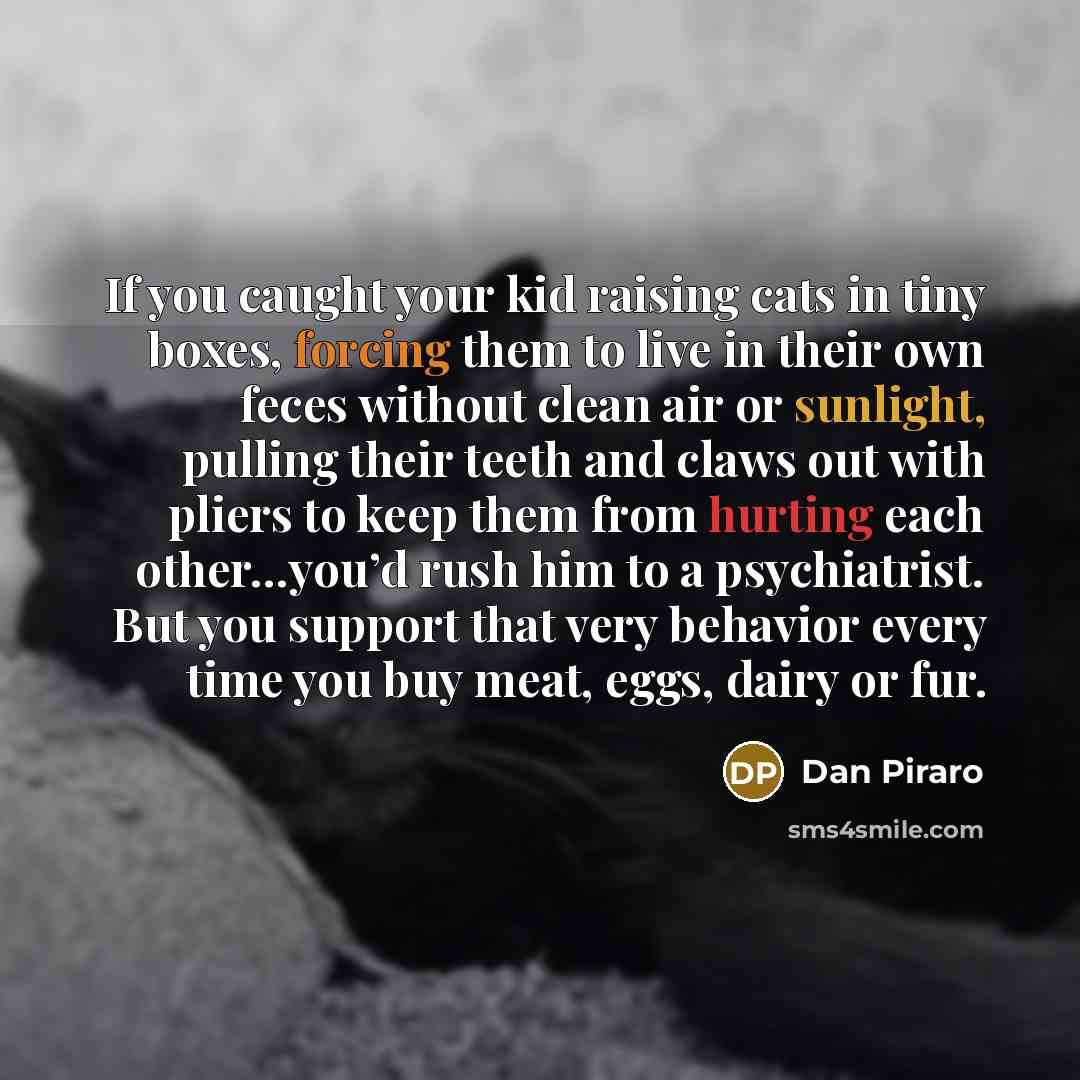 “If you caught your kid raising cats in tiny boxes,…” quote by Dan Piraro