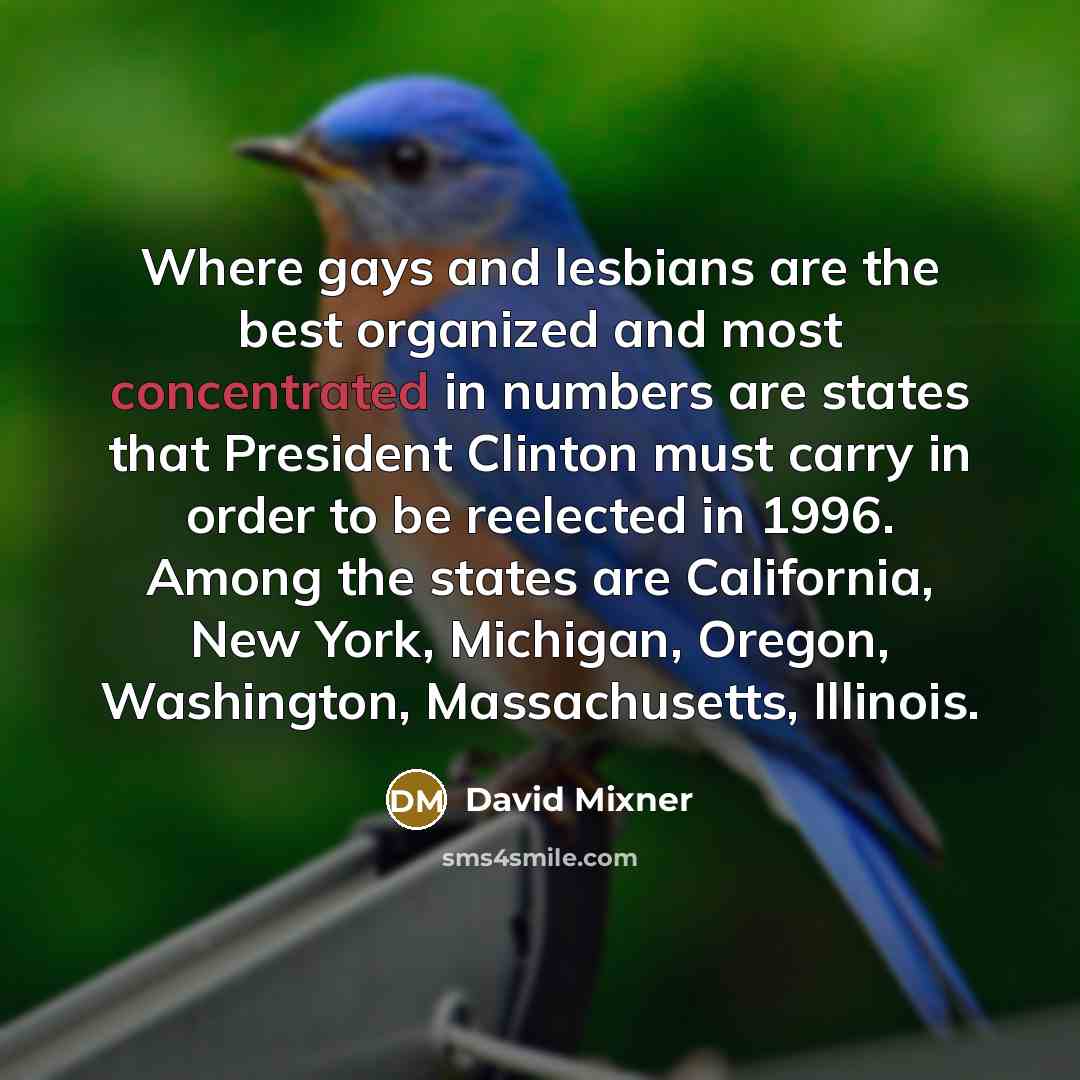 “Where gays and lesbians are the best organized and most…” quote by David Mixner