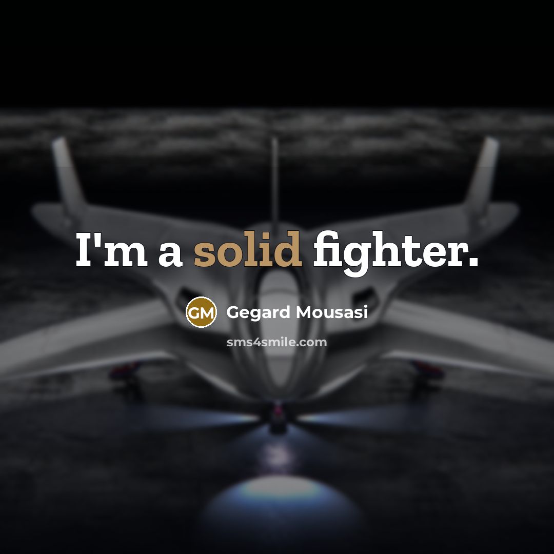 “I'm a solid fighter.…” quote by Gegard Mousasi
