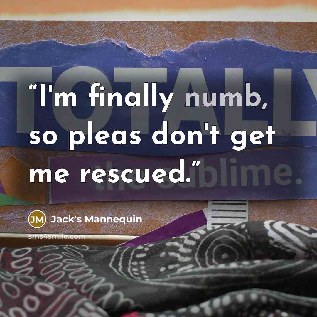 “I'm finally numb, so pleas don't get me rescued.” quote by Jack's Mannequin