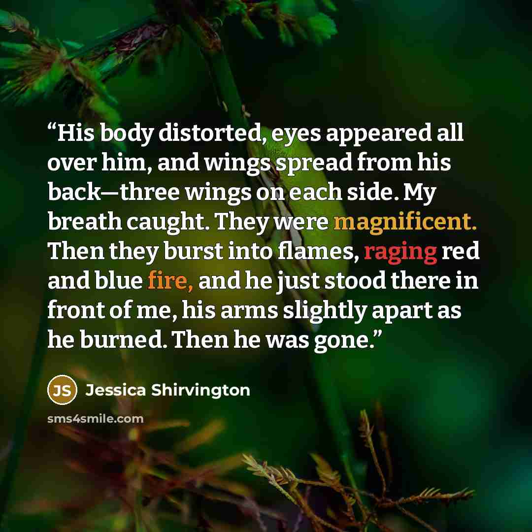 “His body distorted, eyes appeared all over him, and wings spread from his back—three wings on each side. My breath caught. They were magnificent. Then they burst into flames, raging red and blue fire, and he just stood there in front of me, his arms slightly apart as he burned. Then he was gone.” quote by Jessica Shirvington