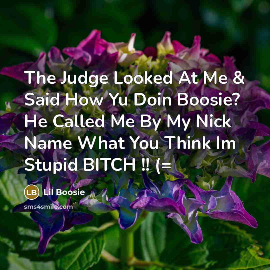 “The Judge Looked At Me & Said How Yu Doin…” quote by Lil Boosie