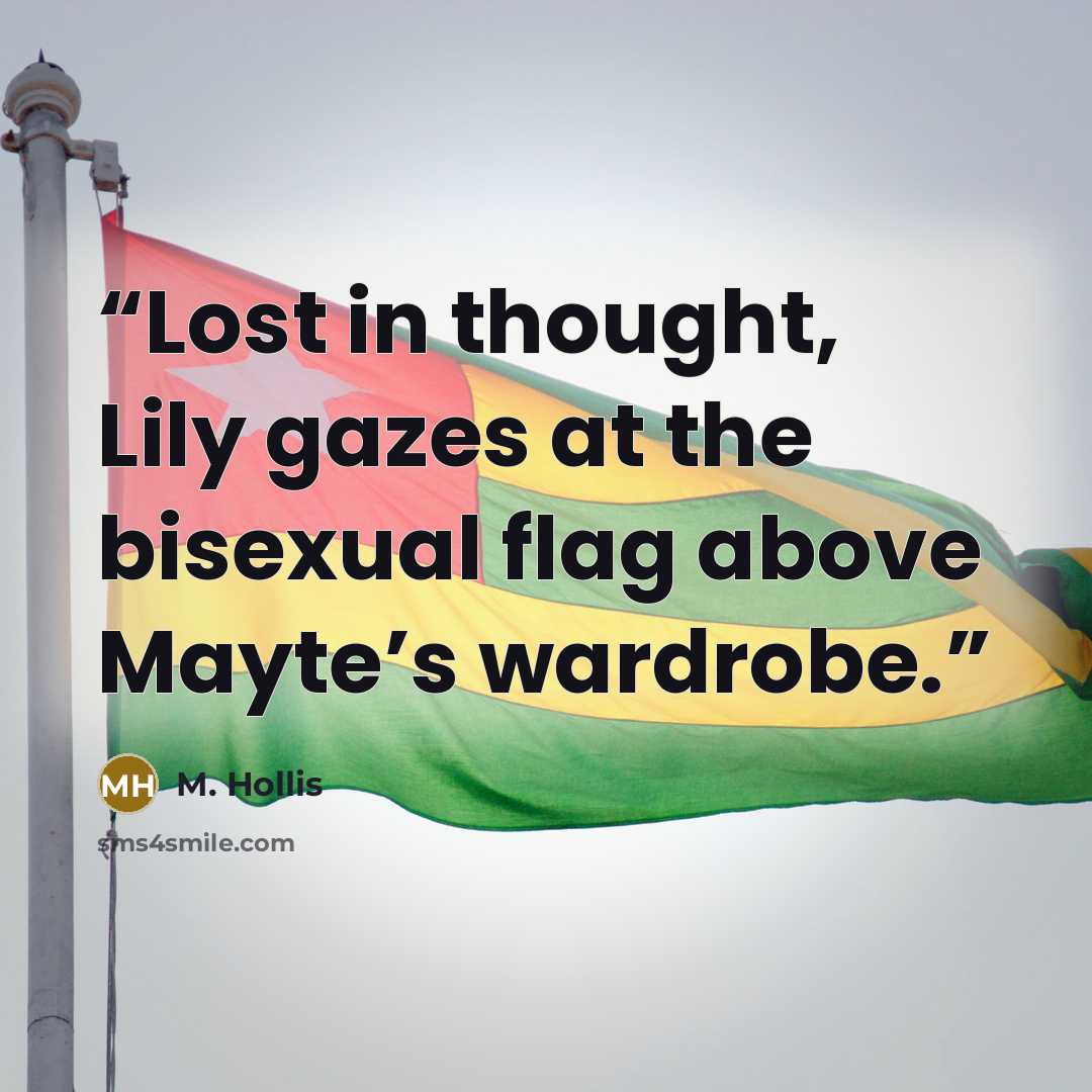 “Lost in thought, Lily gazes at the bisexual flag above Mayte’s wardrobe.” quote by M. Hollis