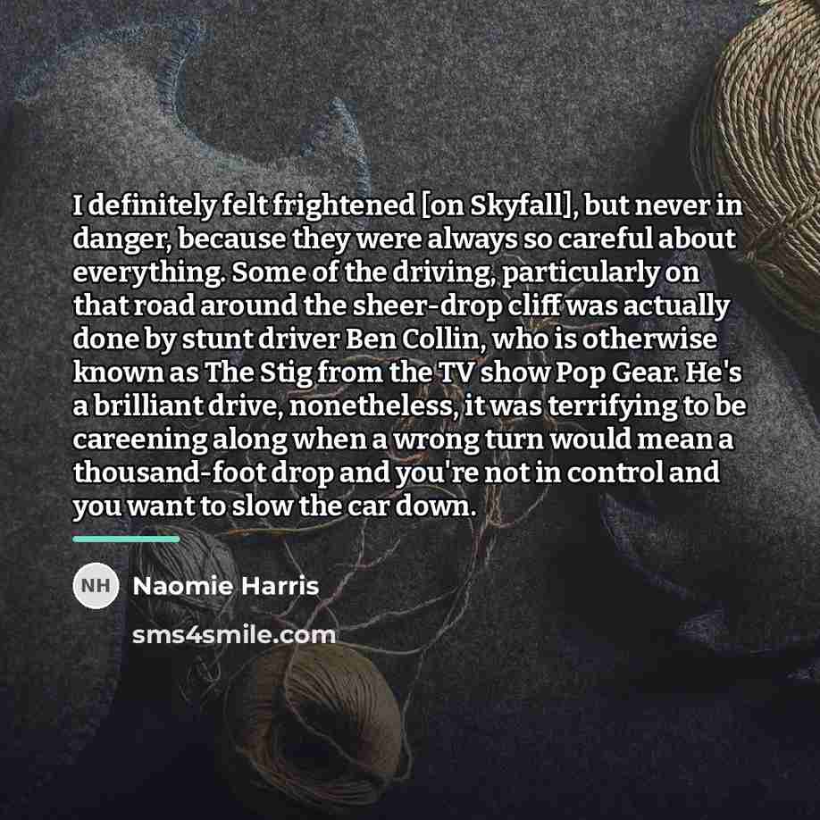 “I definitely felt frightened [on Skyfall], but never in danger,…” quote by Naomie Harris
