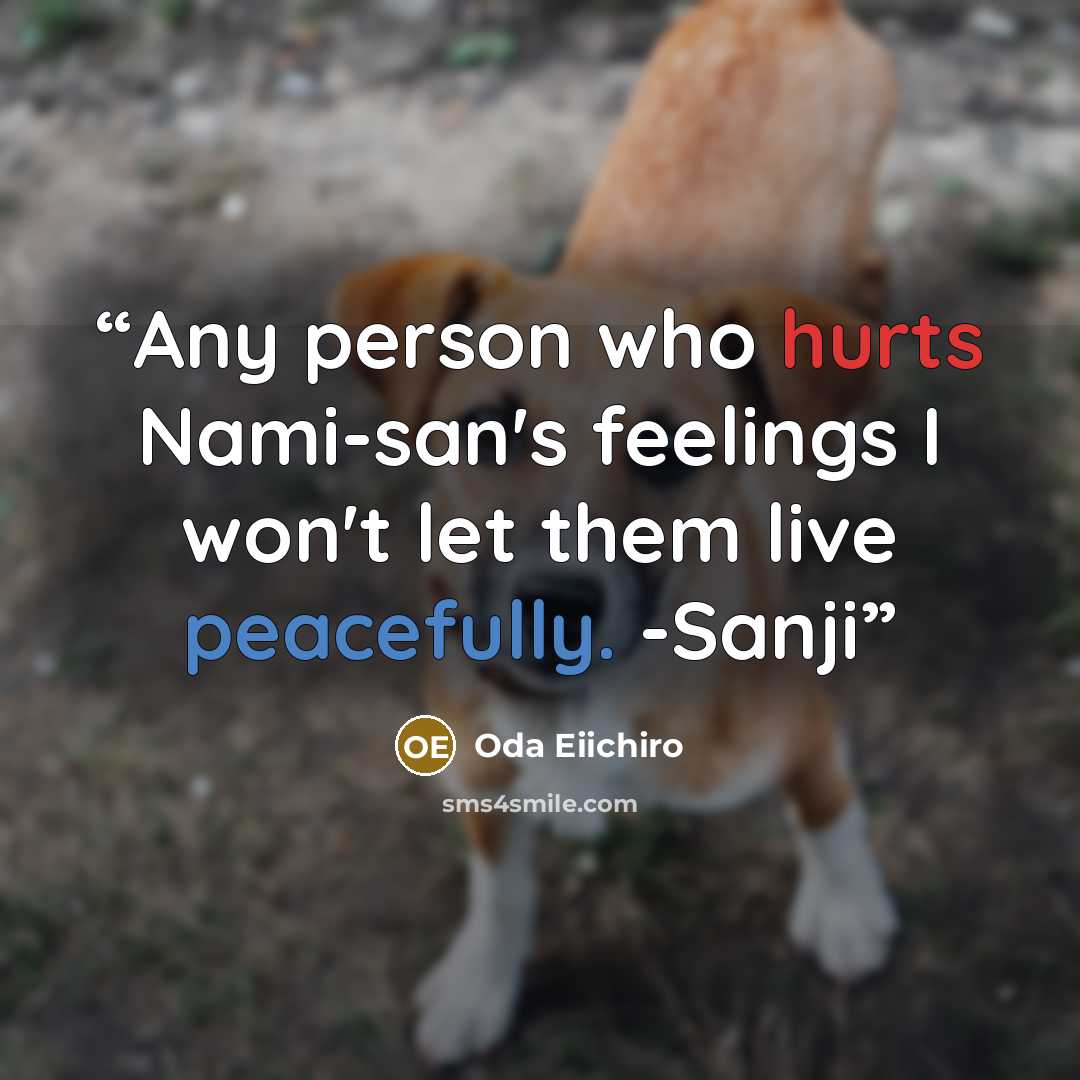 “Any person who hurts Nami-san's feelings I won't let them live peacefully. -Sanji” quote by Oda Eiichiro