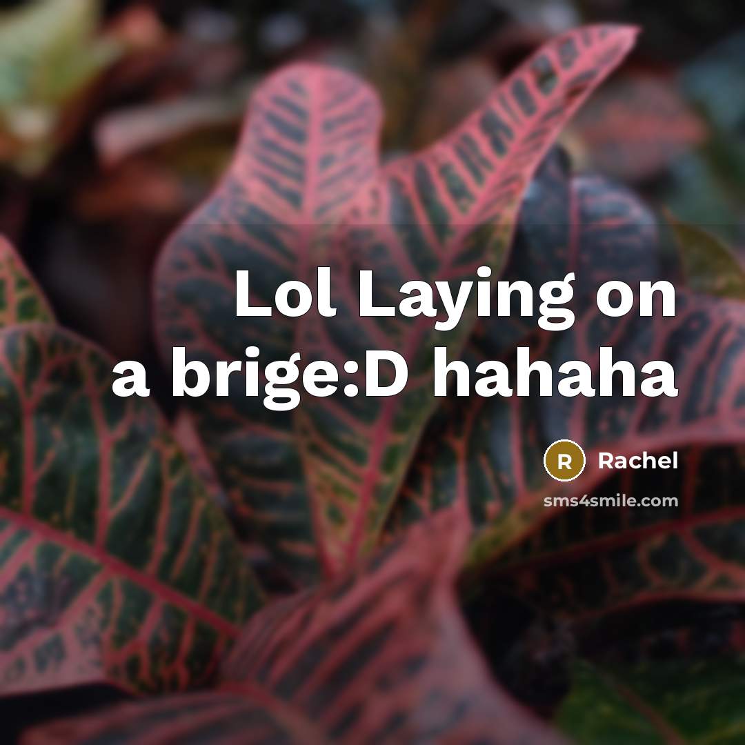 “Lol Laying on a brige:D hahaha…” quote by Rachel
