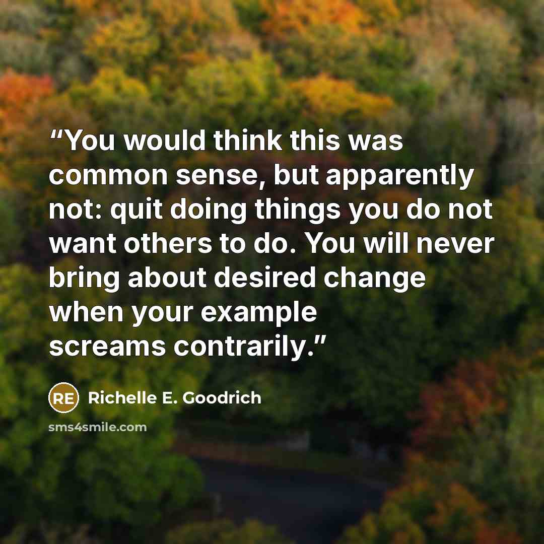 “You would think this was common sense, but apparently not: quit doing things you do not want others to do. You will never bring about desired change when your example screams contrarily.” quote by Richelle E. Goodrich