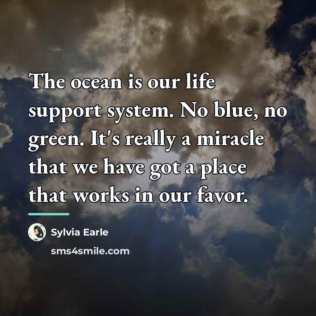 “The ocean is our life support system. No blue, no…” quote by Sylvia Earle