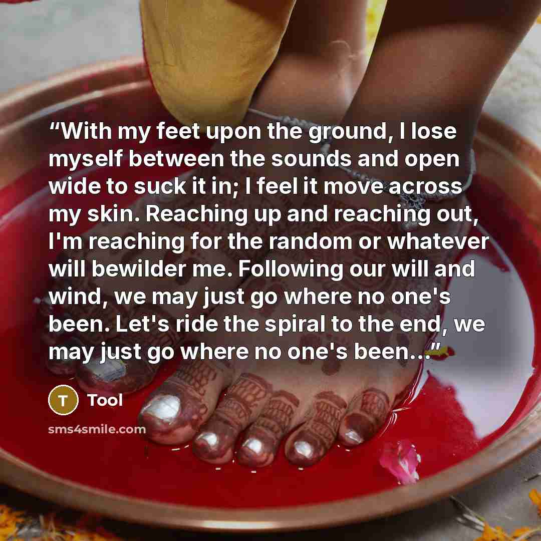 “With my feet upon the ground, I lose myself between the sounds and open wide to suck it in; I feel it move across my skin. Reaching up and reaching out, I'm reaching for the random or whatever will bewilder me. Following our will and wind, we may just go where no one's been. Let's ride the spiral…” quote by Tool