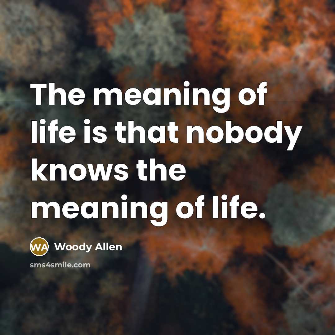 “The meaning of life is that nobody knows the meaning…” quote by Woody Allen