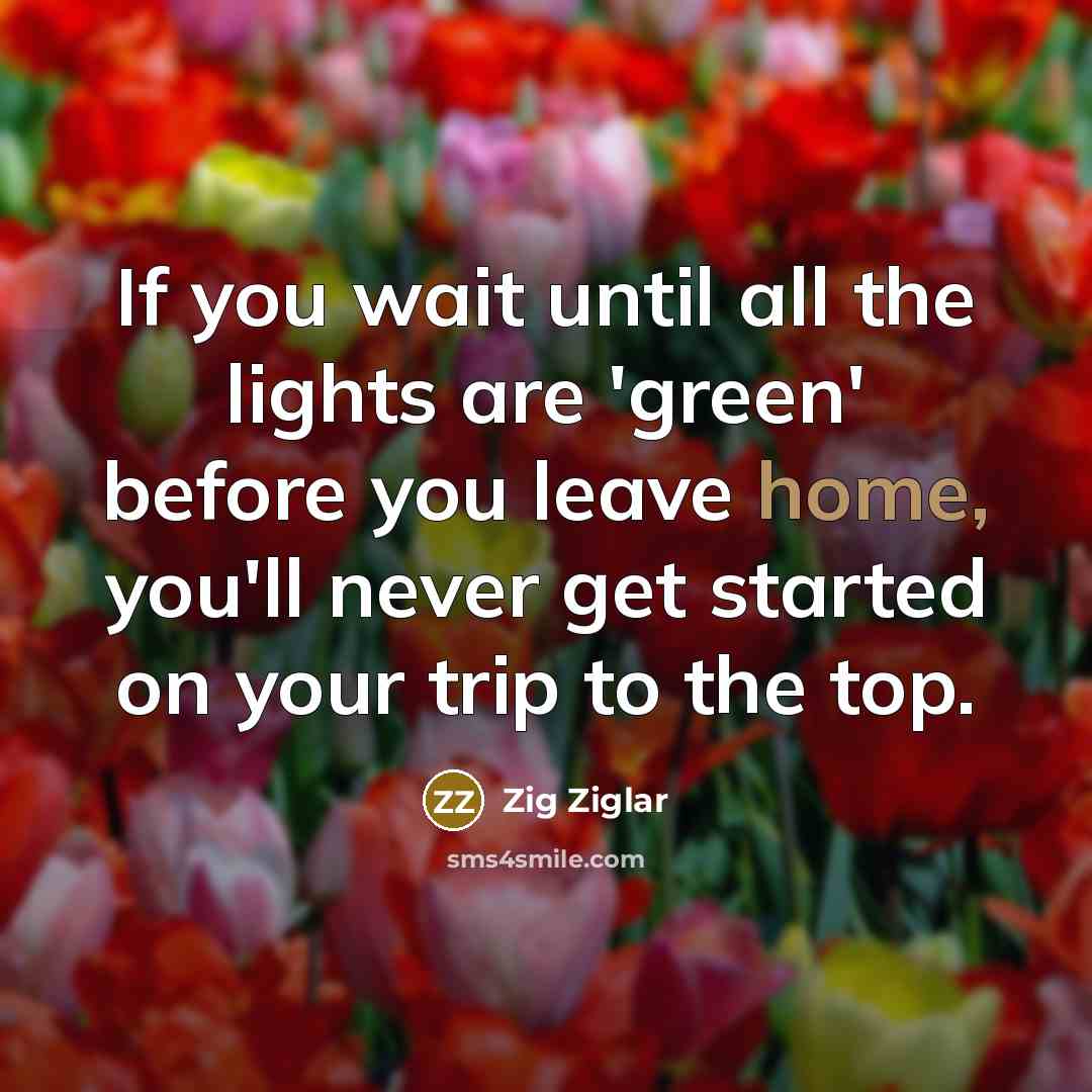 “If you wait until all the lights are 'green' before…” quote by Zig Ziglar