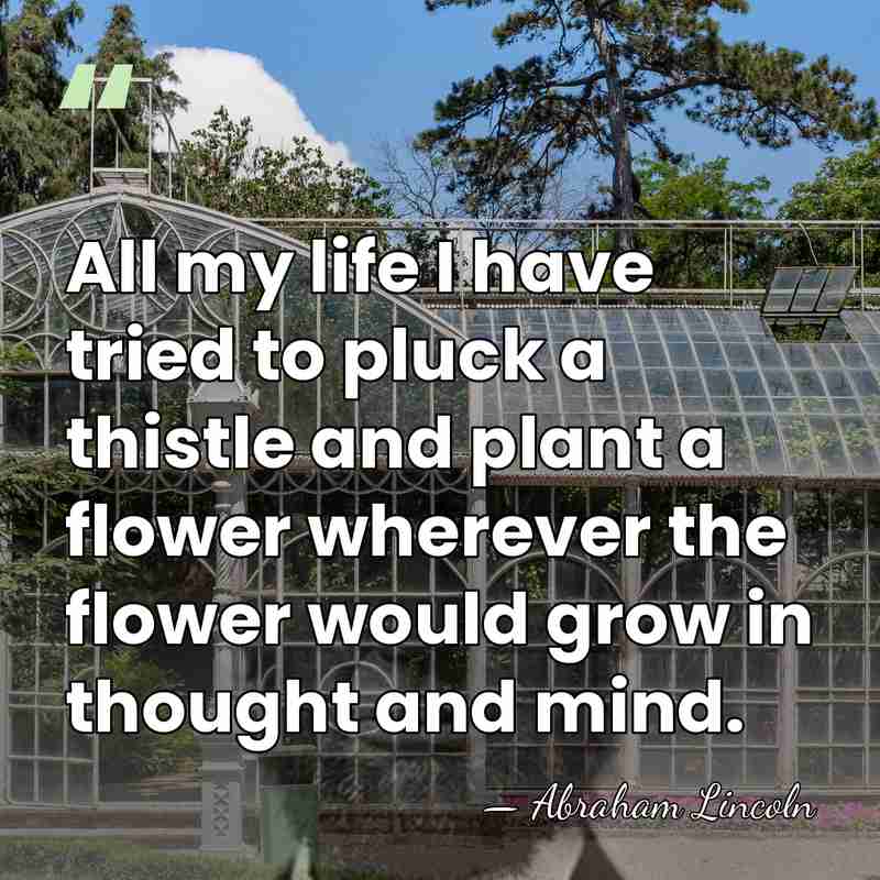All my life I have tried to pluck a thistle and plant&hellip; - Abraham Lincoln