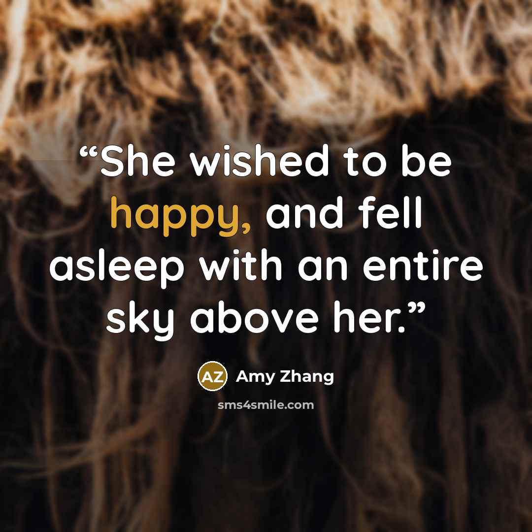 “She wished to be happy, and fell asleep with an entire sky above her.” quote by Amy Zhang