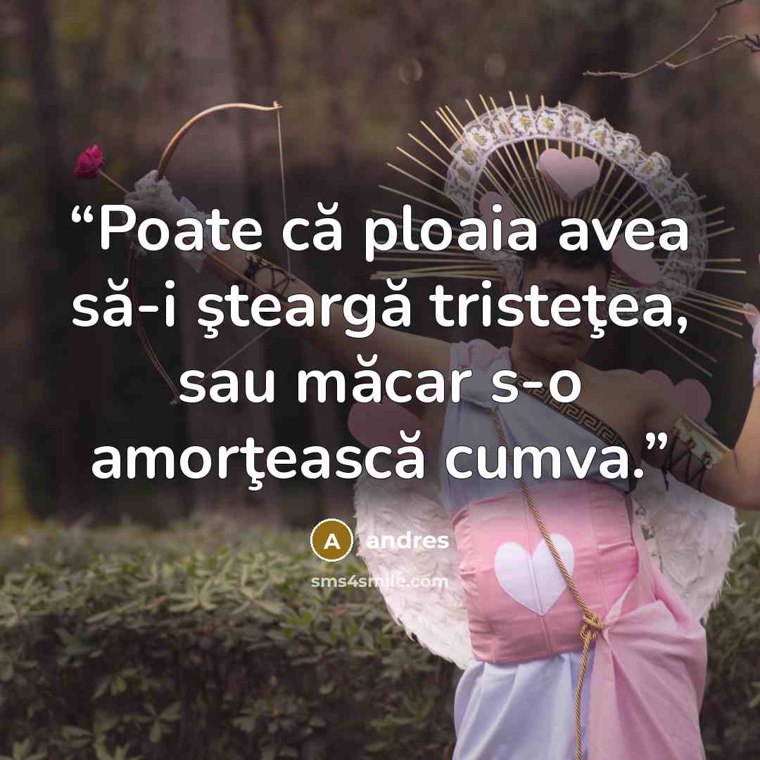 “Poate că ploaia avea să-i şteargă tristeţea, sau măcar s-o amorţească cumva.” quote by Andres