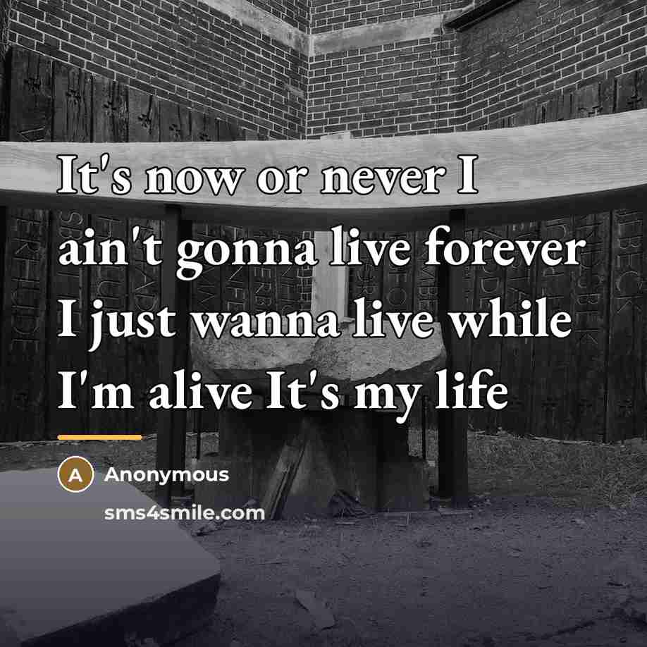 “It's now or never I ain't gonna live forever I…” quote by Anonymous