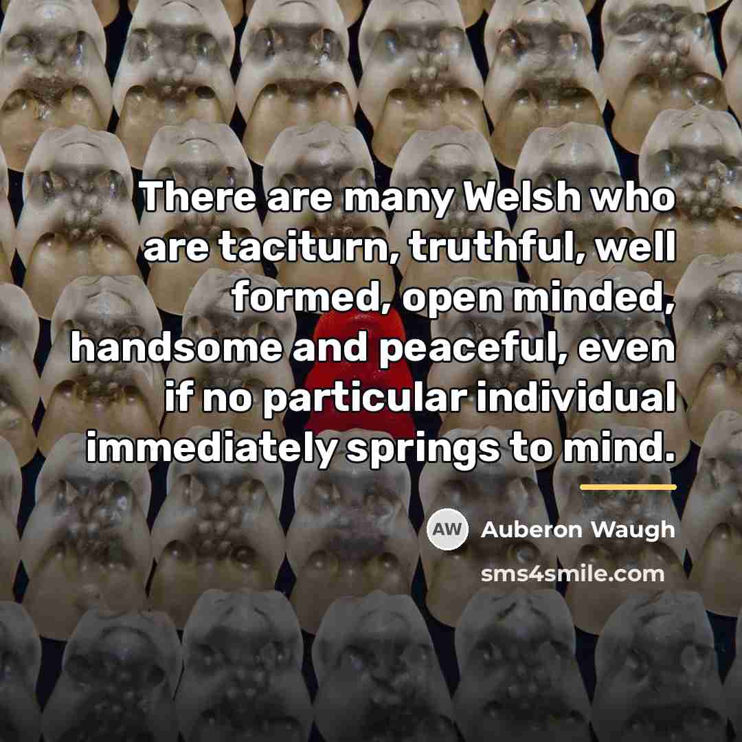 “There are many Welsh who are taciturn, truthful, well formed,…” quote by Auberon Waugh