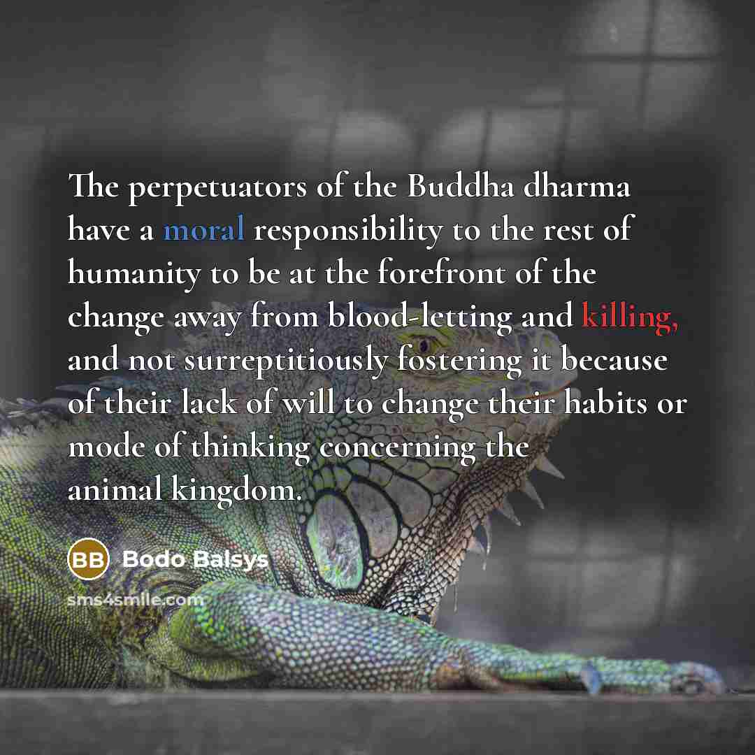 “The perpetuators of the Buddha dharma have a moral responsibility…” quote by Bodo Balsys
