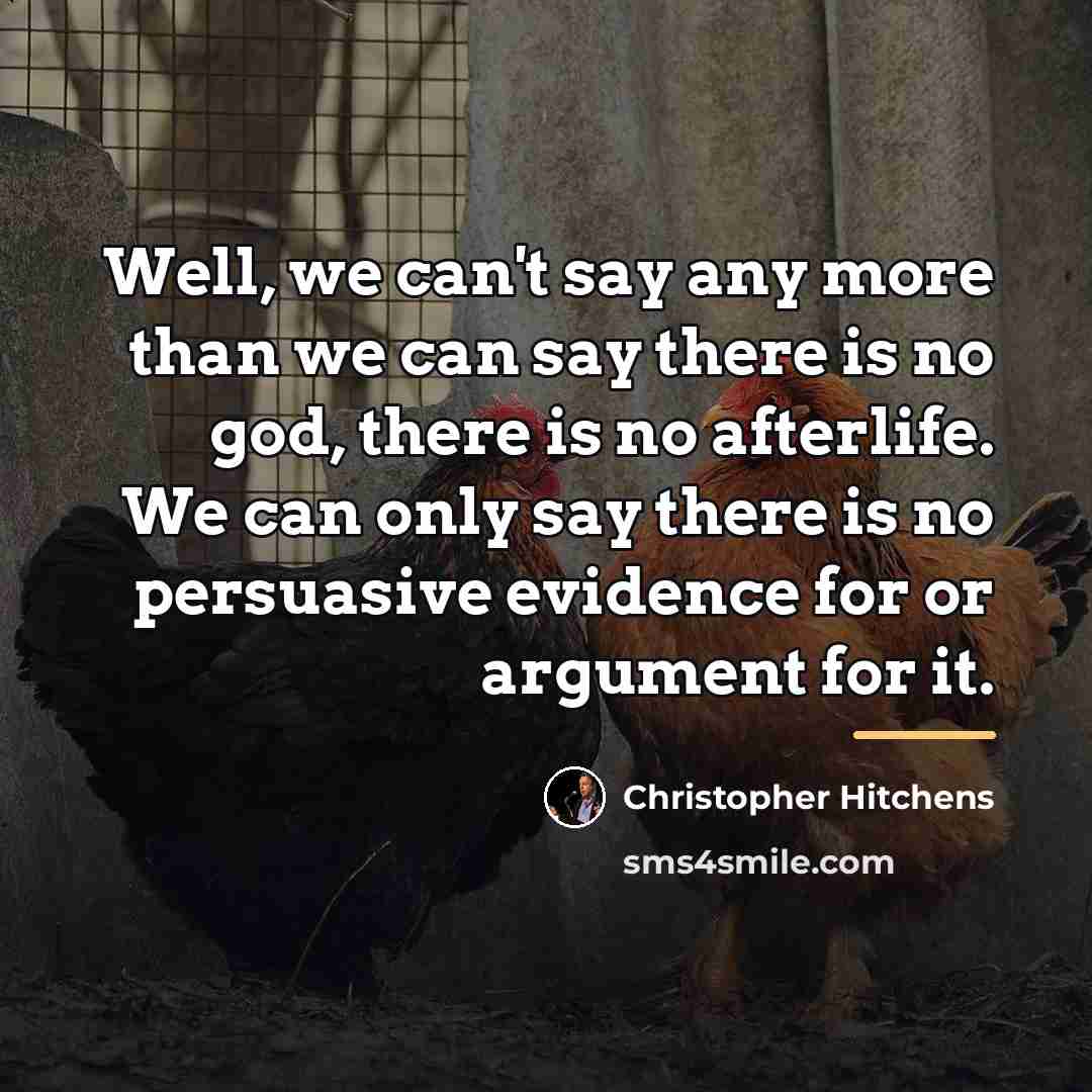 “Well, we can't say any more than we can say…” quote by Christopher Hitchens