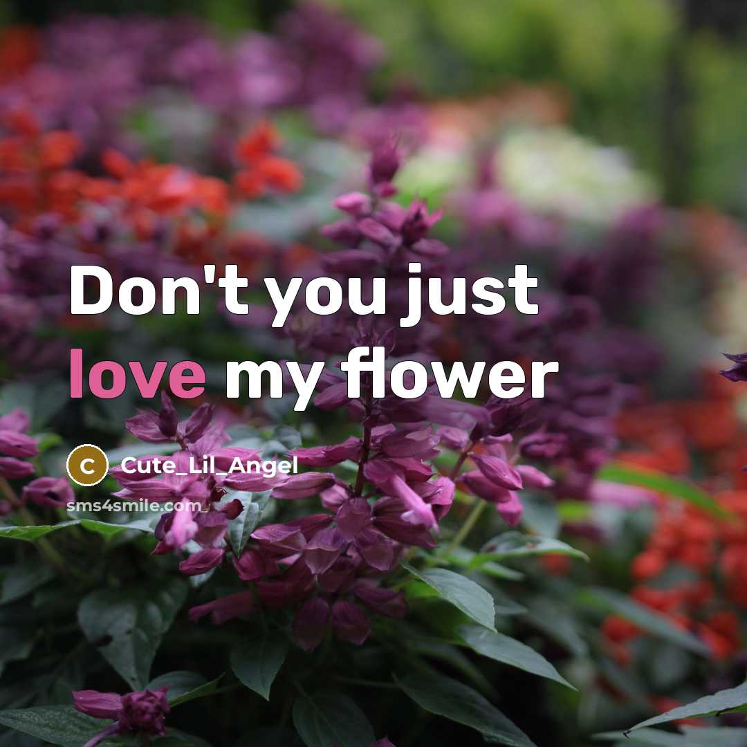 “Don't you just love my flower…” quote by Cute_Lil_Angel
