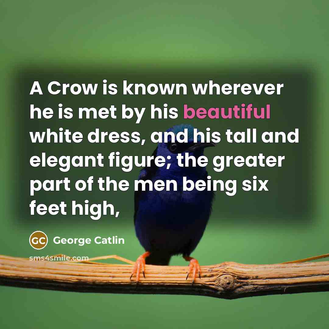 “A Crow is known wherever he is met by his…” quote by George Catlin
