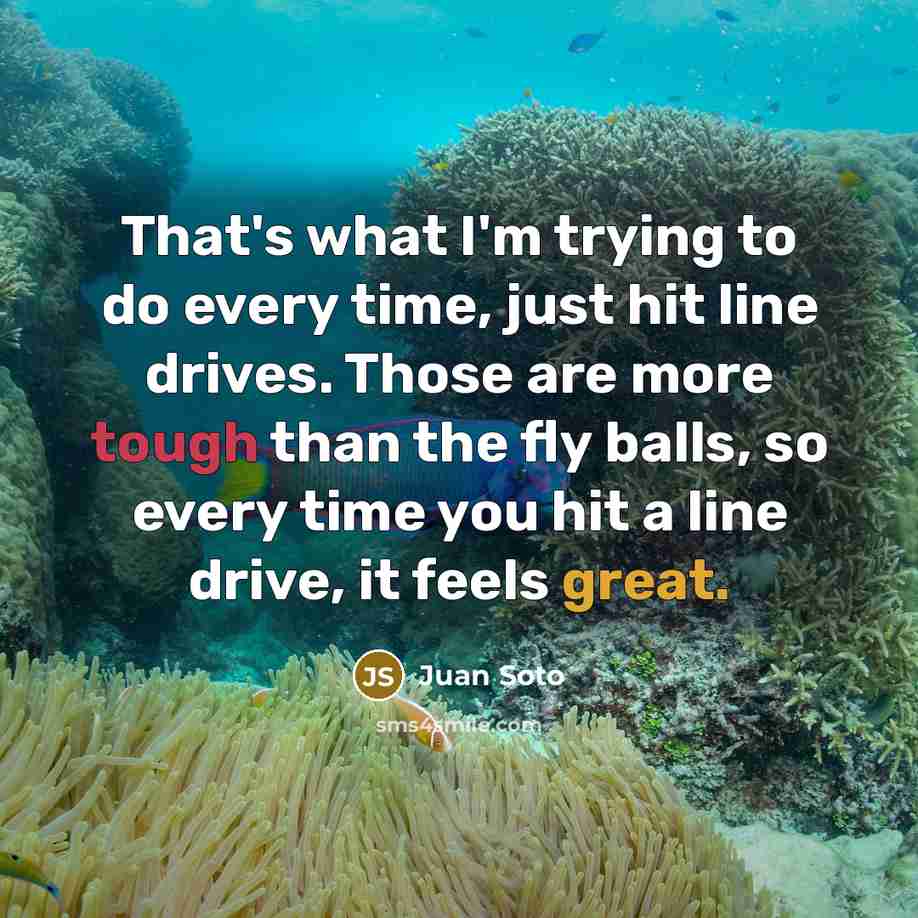 “That's what I'm trying to do every time, just hit line drives. Those are more tough than the fly balls, so every time you hit a line drive, it feels great.” quote by Juan Soto