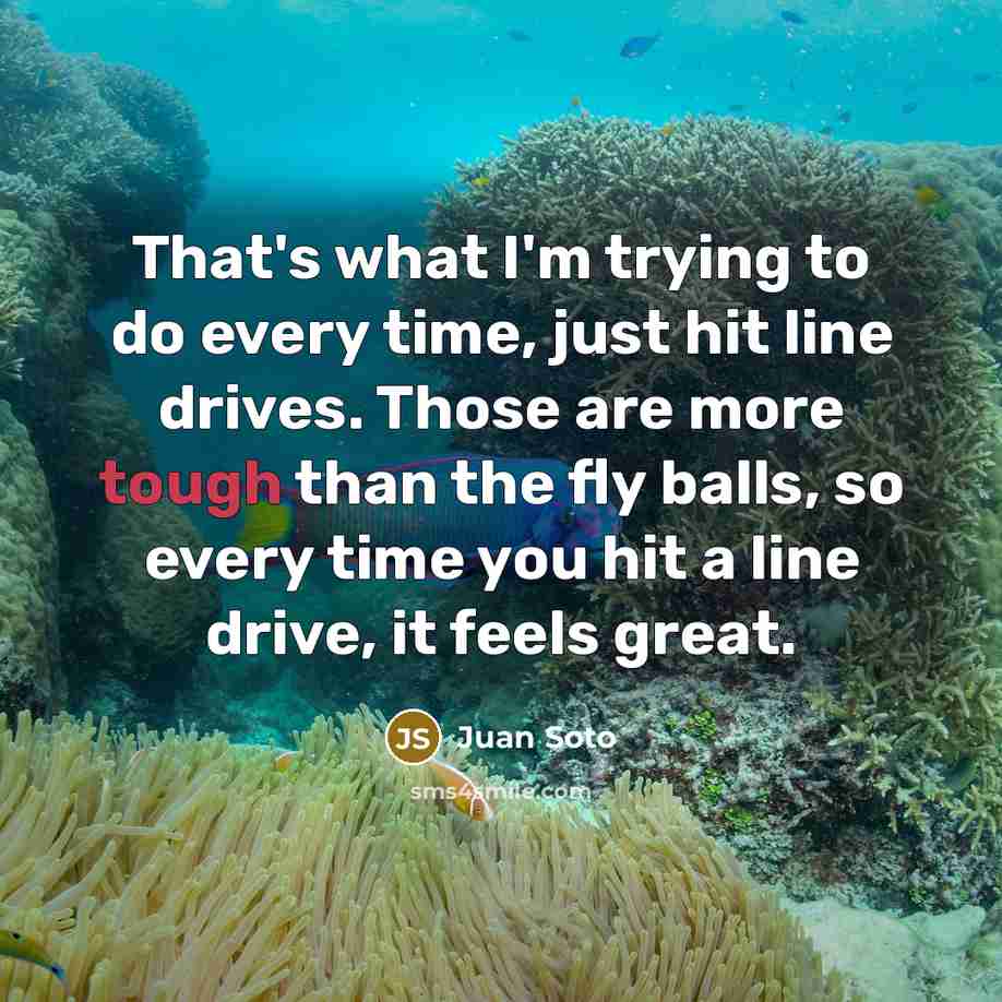 “That's what I'm trying to do every time, just hit…” quote by Juan Soto