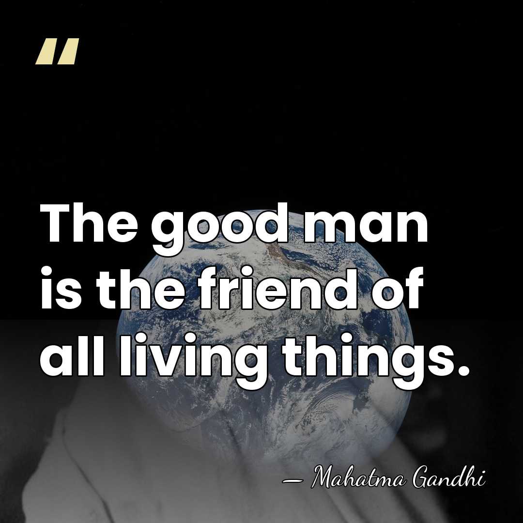 The good man is the friend of all living things. - Mahatma Gandhi