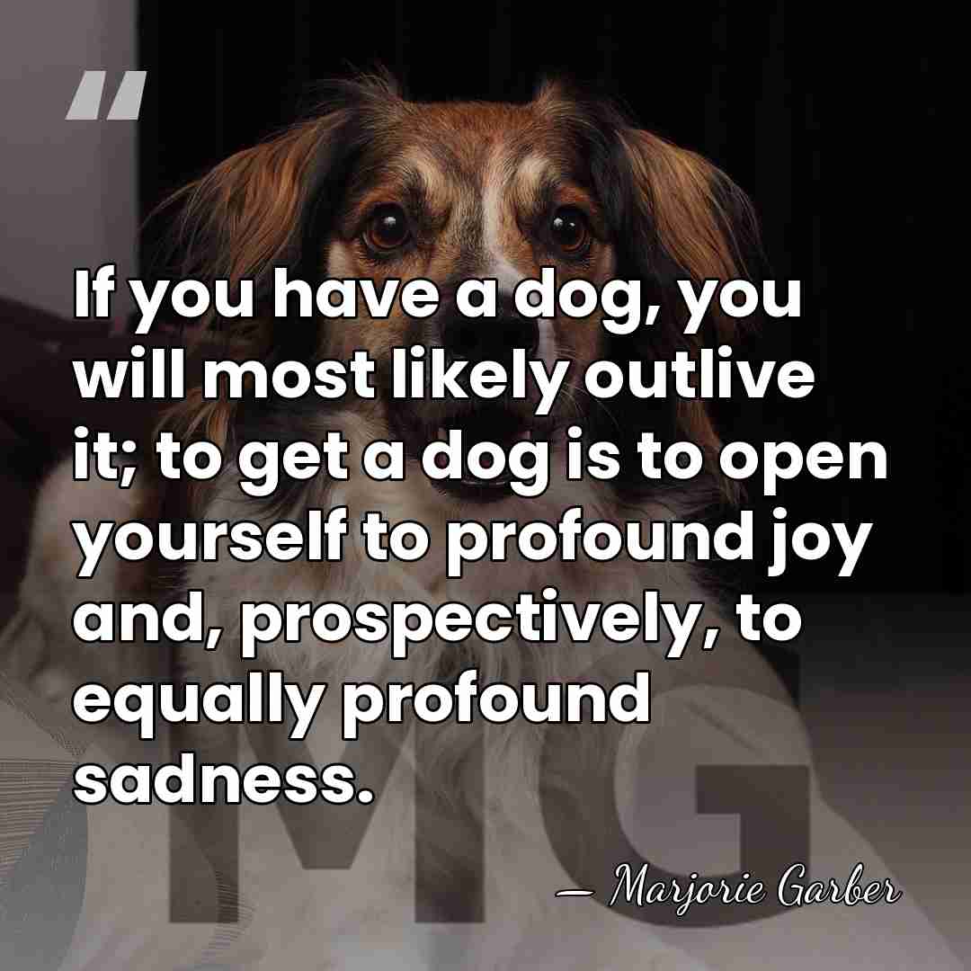 If you have a dog, you will most likely outlive it; to&hellip; - Marjorie Garber