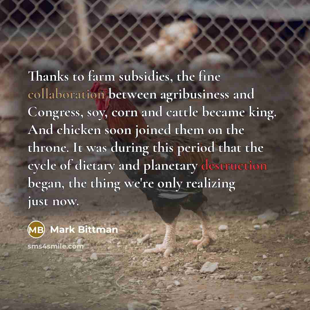 “Thanks to farm subsidies, the fine collaboration between agribusiness and…” quote by Mark Bittman