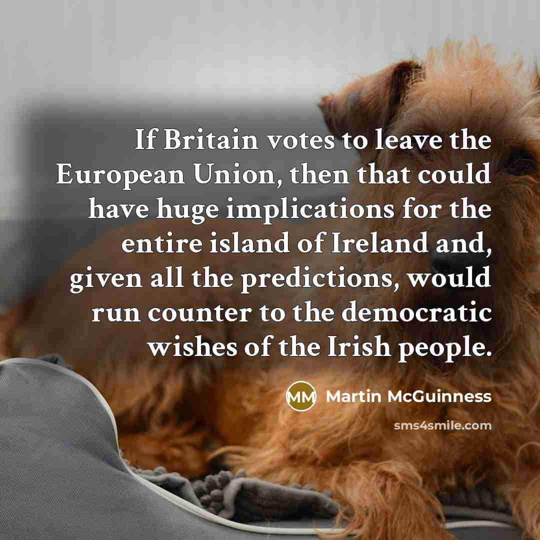 “If Britain votes to leave the European Union, then that…” quote by Martin McGuinness