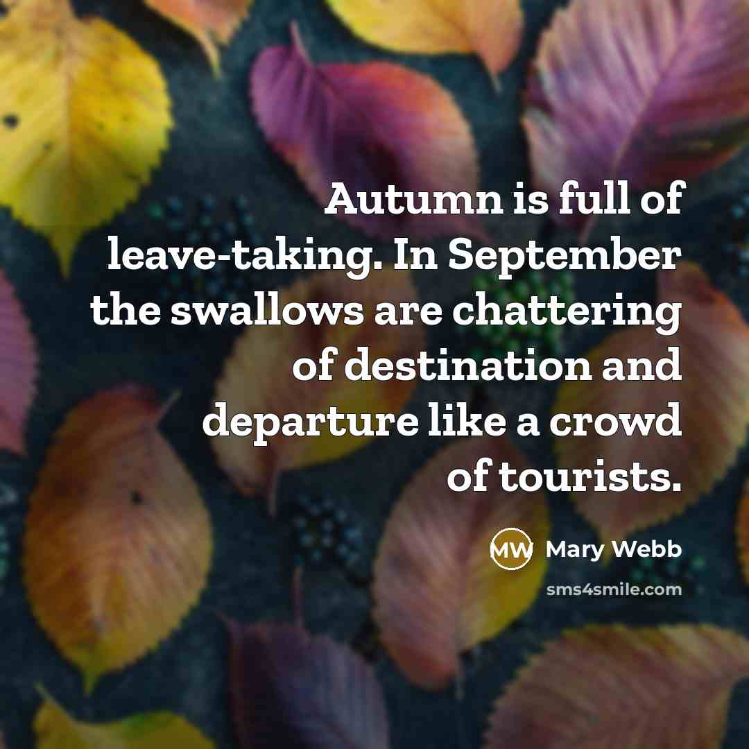 “Autumn is full of leave-taking. In September the swallows are…” quote by Mary Webb