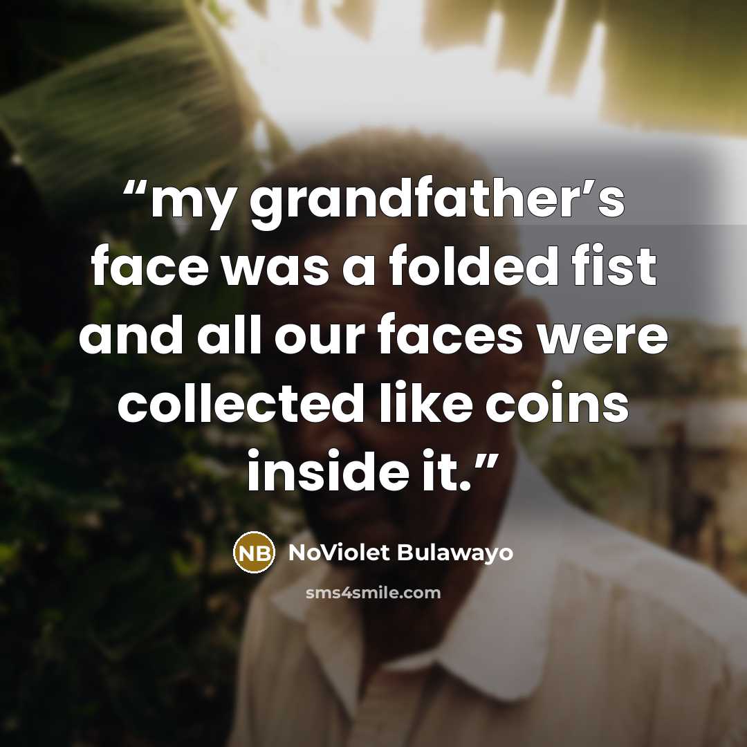 “my grandfather’s face was a folded fist and all our faces were collected like coins inside it.” quote by NoViolet Bulawayo