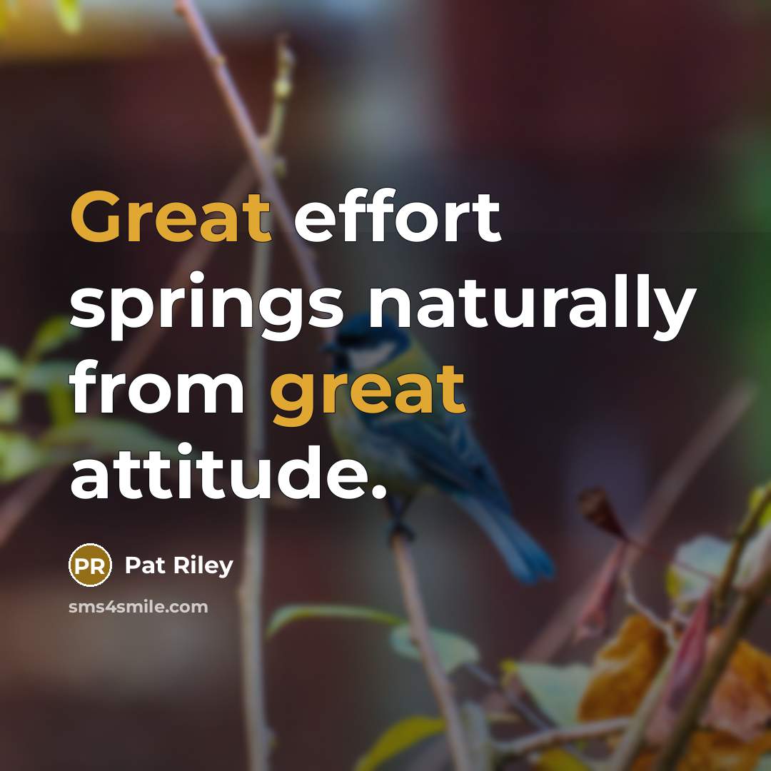 “Great effort springs naturally from great attitude.…” quote by Pat Riley