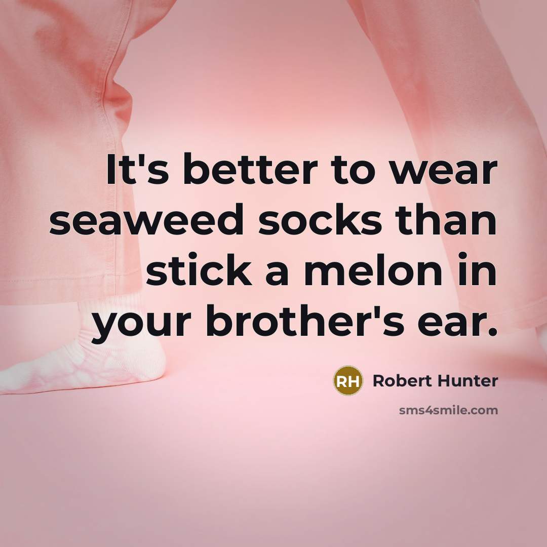 “It's better to wear seaweed socks than stick a melon…” quote by Robert Hunter