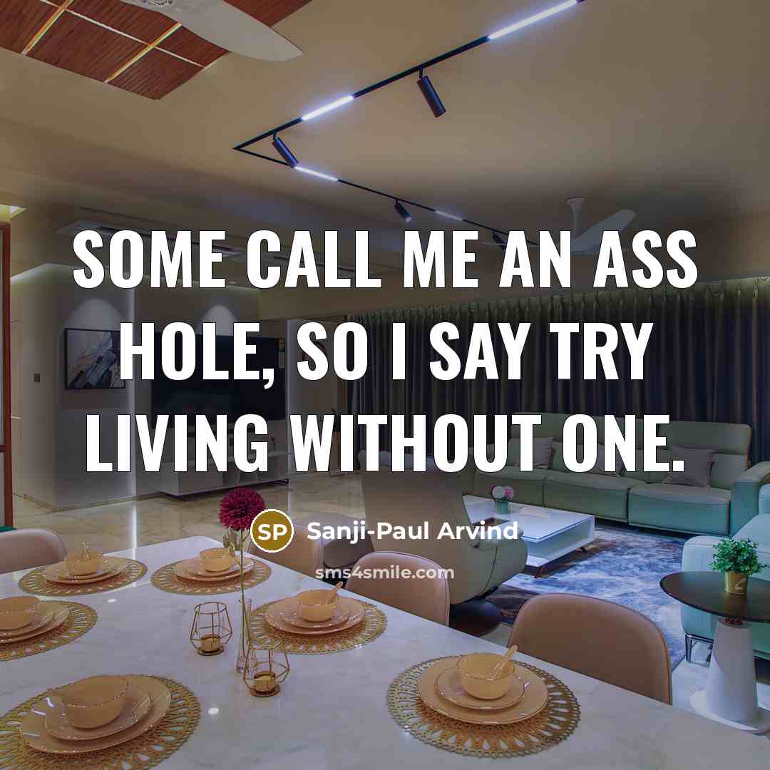 “Some call me an Ass Hole, so I say Try…” quote by Sanji-Paul Arvind