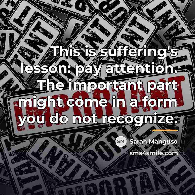 “This is suffering's lesson: pay attention. The important part might…” quote by Sarah Manguso