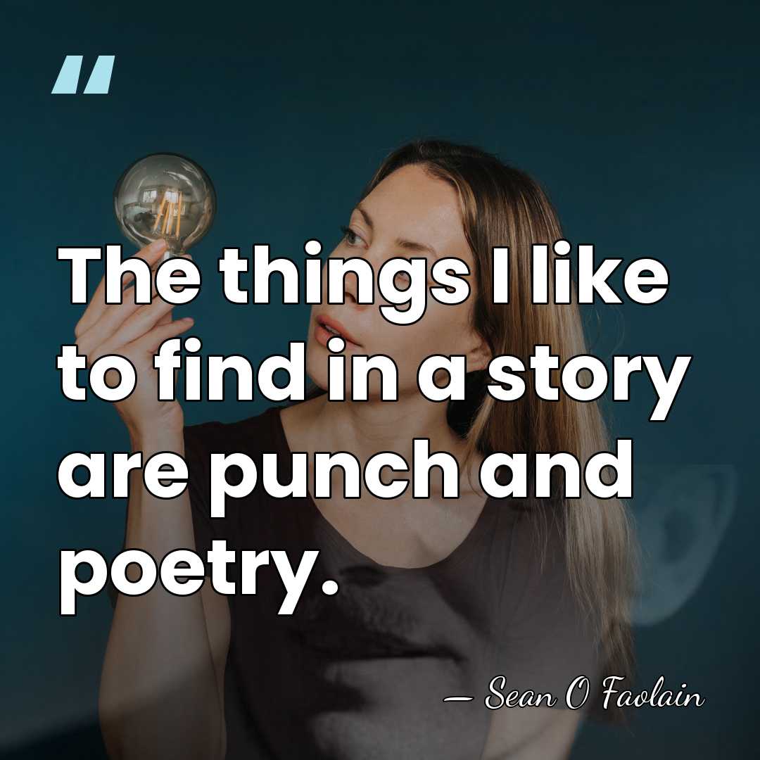 The things I like to find in a story are punch and&hellip; - Sean O Faolain